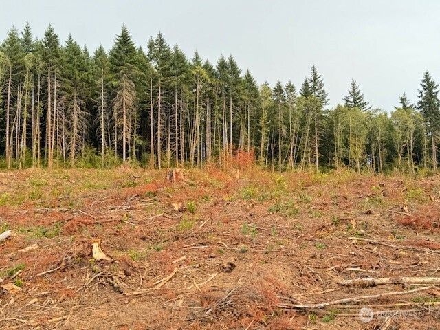 118 Woodberry Lane, Winlock, WA 98596