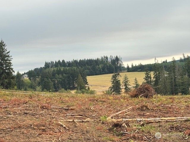 118 Woodberry Lane, Winlock, WA 98596