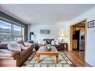 746 W Anemone Trl, Dillon, CO 80435