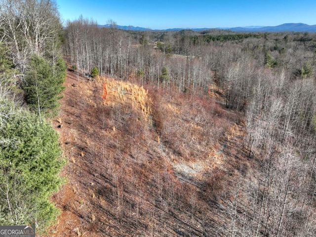 LT 131 & 132 Pack Creek Road, Blue Ridge, GA 30513
