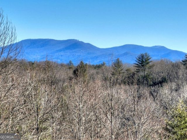 LT 131 & 132 Pack Creek Road, Blue Ridge, GA 30513