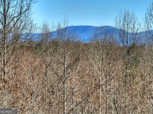 LT 131 & 132 Pack Creek Road, Blue Ridge, GA 30513