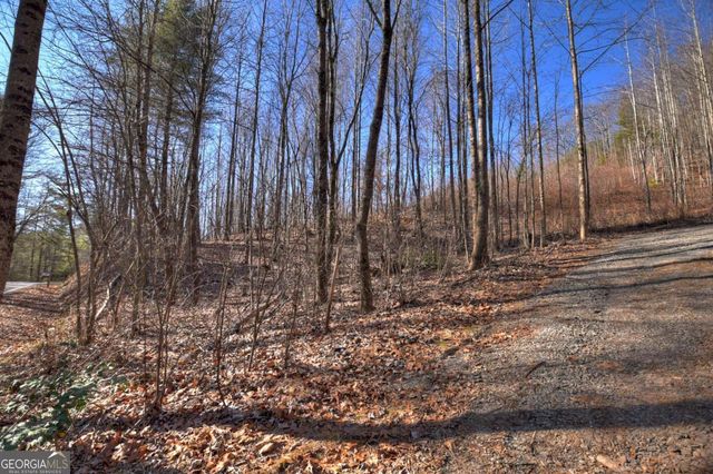 LT 131 & 132 Pack Creek Road, Blue Ridge, GA 30513
