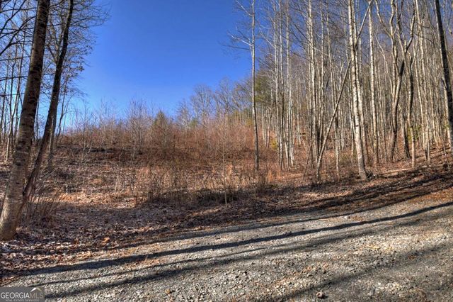 LT 131 & 132 Pack Creek Road, Blue Ridge, GA 30513