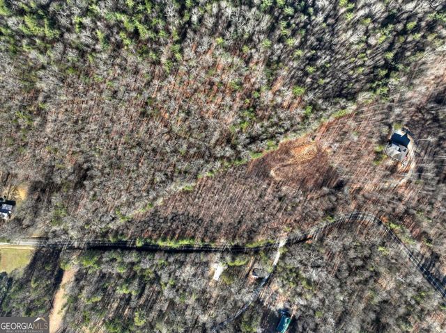 LT 131 & 132 Pack Creek Road, Blue Ridge, GA 30513