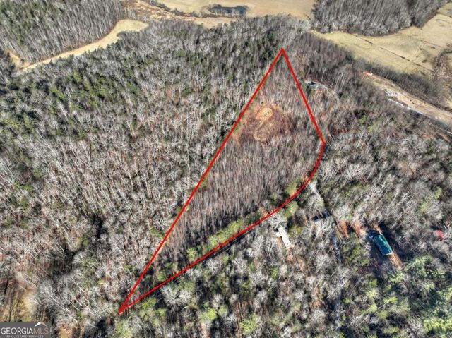 LT 131 & 132 Pack Creek Road, Blue Ridge, GA 30513