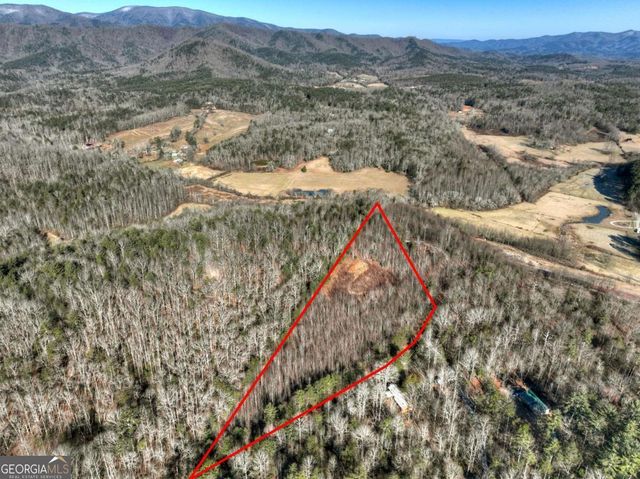 LT 131 & 132 Pack Creek Road, Blue Ridge, GA 30513