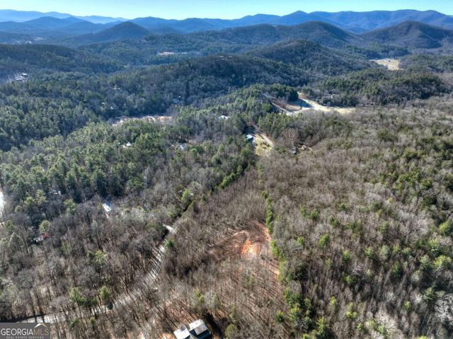 LT 131 & 132 Pack Creek Road, Blue Ridge, GA 30513