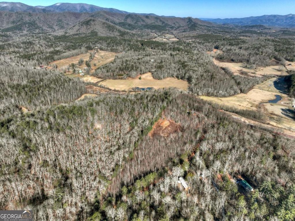 LT 131 & 132 Pack Creek Road, Blue Ridge, GA 30513