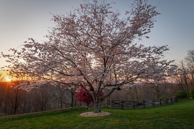 720 Valhalla Ln, Brentwood, TN 37027