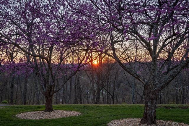 720 Valhalla Ln, Brentwood, TN 37027