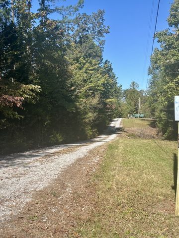 2917 Obie Adcock Rd, Smithville, TN 37166