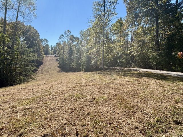 2917 Obie Adcock Rd, Smithville, TN 37166