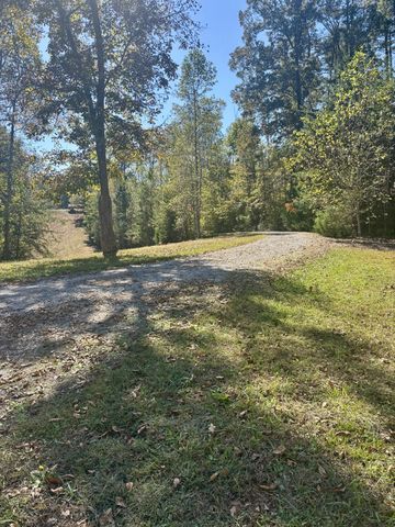 2917 Obie Adcock Rd, Smithville, TN 37166