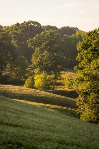 1462 Highway 48, S, Dickson, TN 37055
