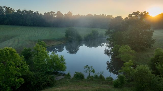 1462 Highway 48, S, Dickson, TN 37055