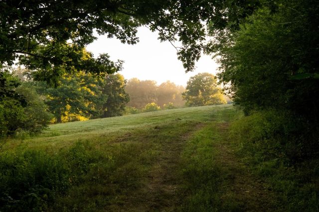1462 Highway 48, S, Dickson, TN 37055