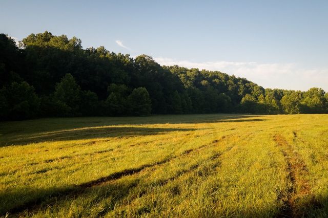 1462 Highway 48, S, Dickson, TN 37055