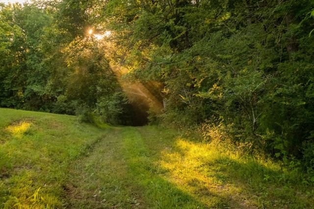 1462 Highway 48, S, Dickson, TN 37055