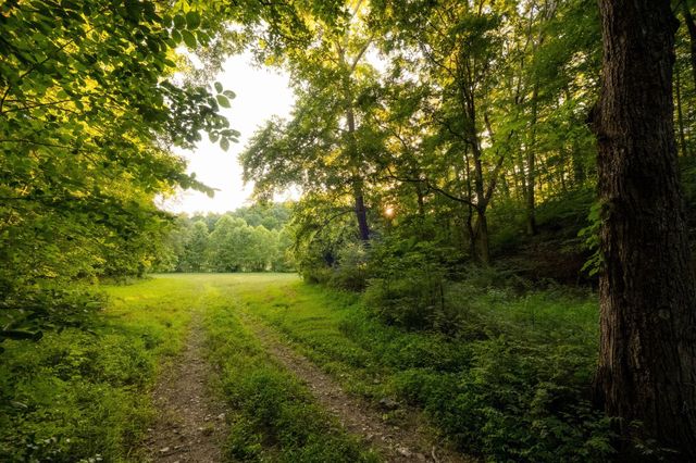 1462 Highway 48, S, Dickson, TN 37055