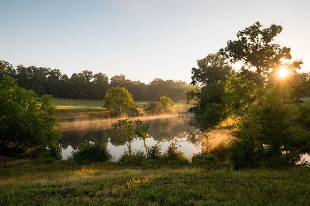1462 Highway 48, S, Dickson, TN 37055