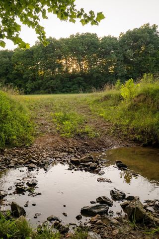 1462 Highway 48, S, Dickson, TN 37055