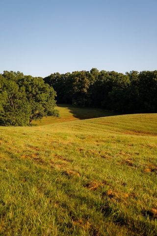 1462 Highway 48, S, Dickson, TN 37055