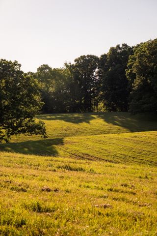 1462 Highway 48, S, Dickson, TN 37055