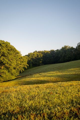 1462 Highway 48, S, Dickson, TN 37055