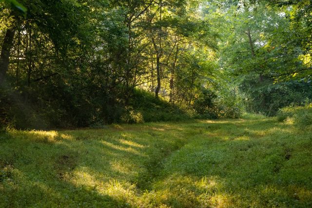 1462 Highway 48, S, Dickson, TN 37055