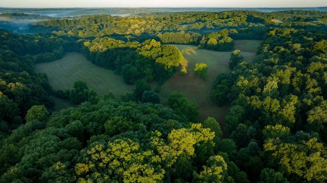 1462 Highway 48, S, Dickson, TN 37055