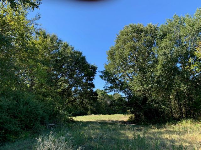 133 ac Hwy 39, Normangee, TX 77871