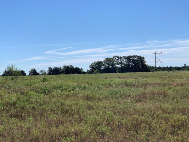 133 ac Hwy 39, Normangee, TX 77871