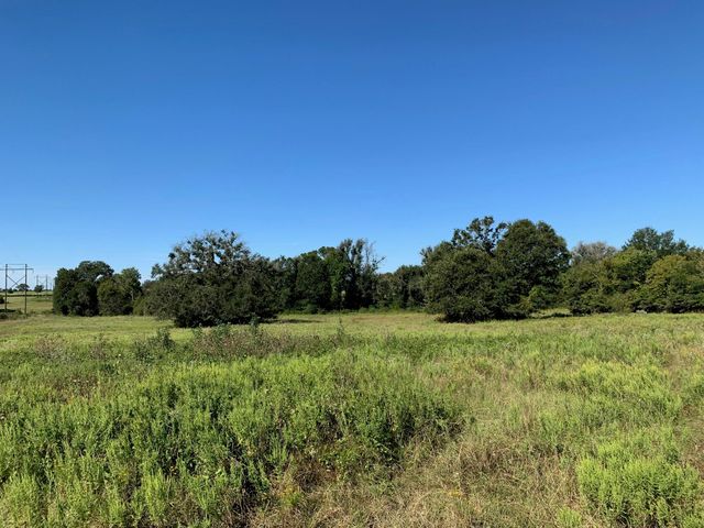 133 ac Hwy 39, Normangee, TX 77871