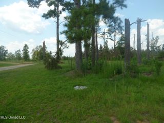 161 Old Holmesville Road, Tylertown, MS 39667