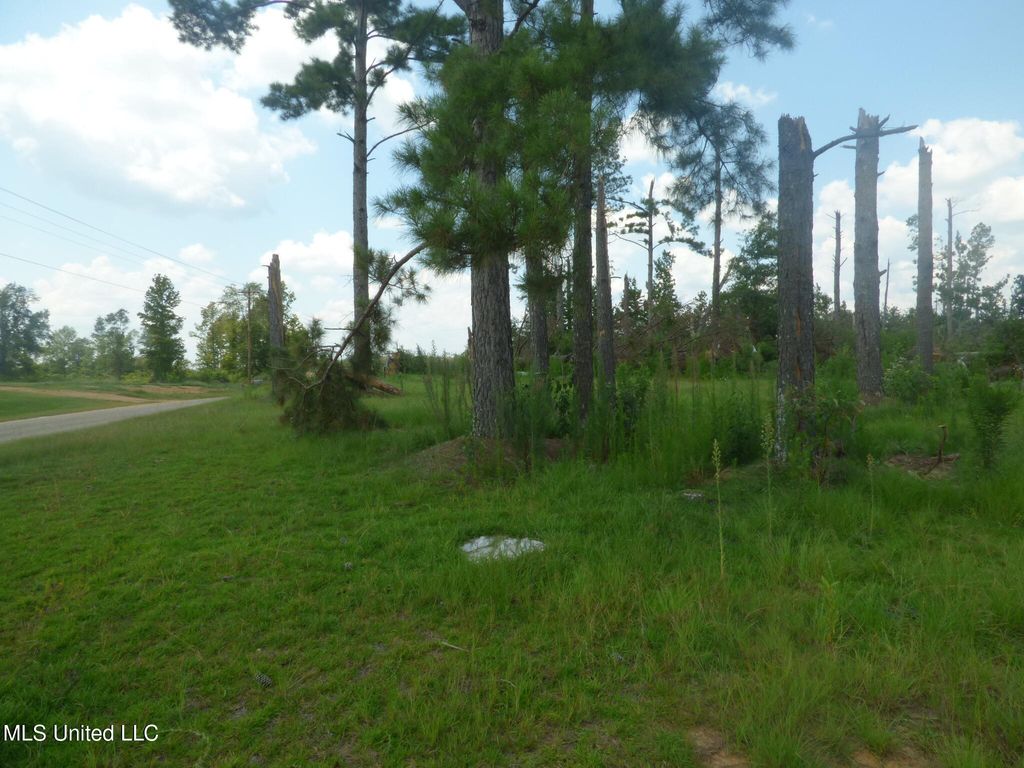 161 Old Holmesville Road, Tylertown, MS 39667