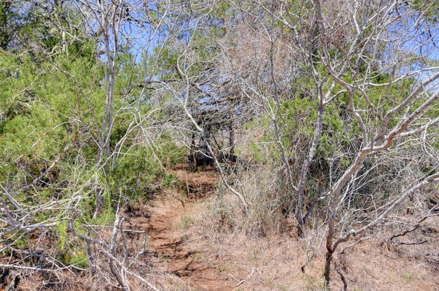 000 Cr 397, Waelder, TX 78959