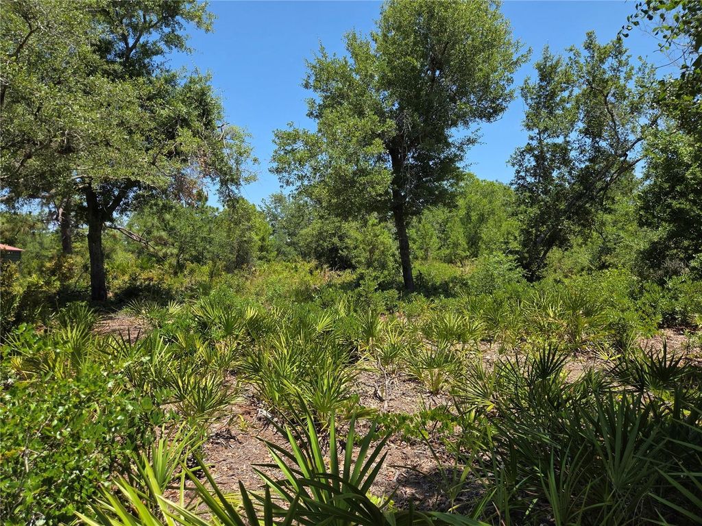 33410 WASHINGTON LOOP ROAD, Punta Gorda, FL 33982