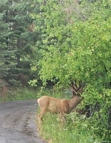 19184 Silver Ranch Road, Conifer, CO 80433