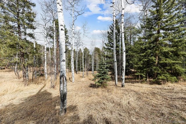 19184 Silver Ranch Road, Conifer, CO 80433