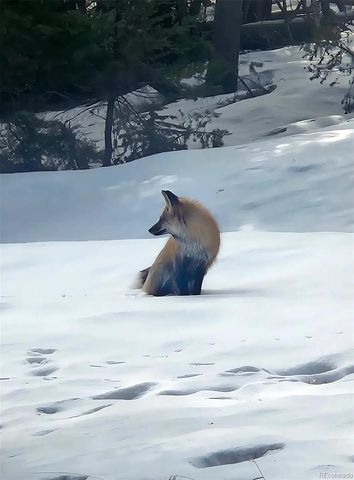 19184 Silver Ranch Road, Conifer, CO 80433