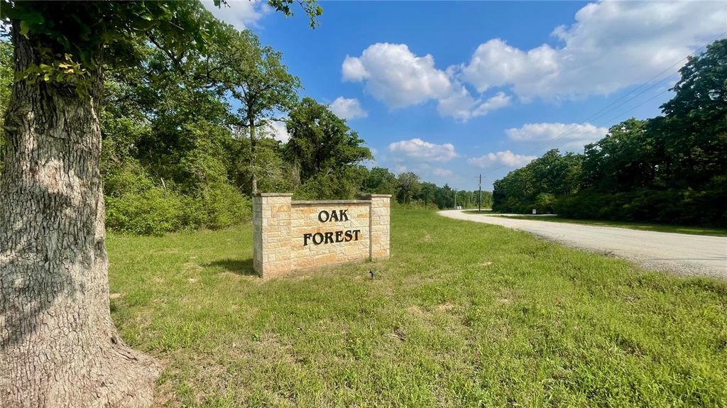 TBD Lot 18 Sawmill RD (+/-5.51 acres), Franklin, TX 77837 — photo 3