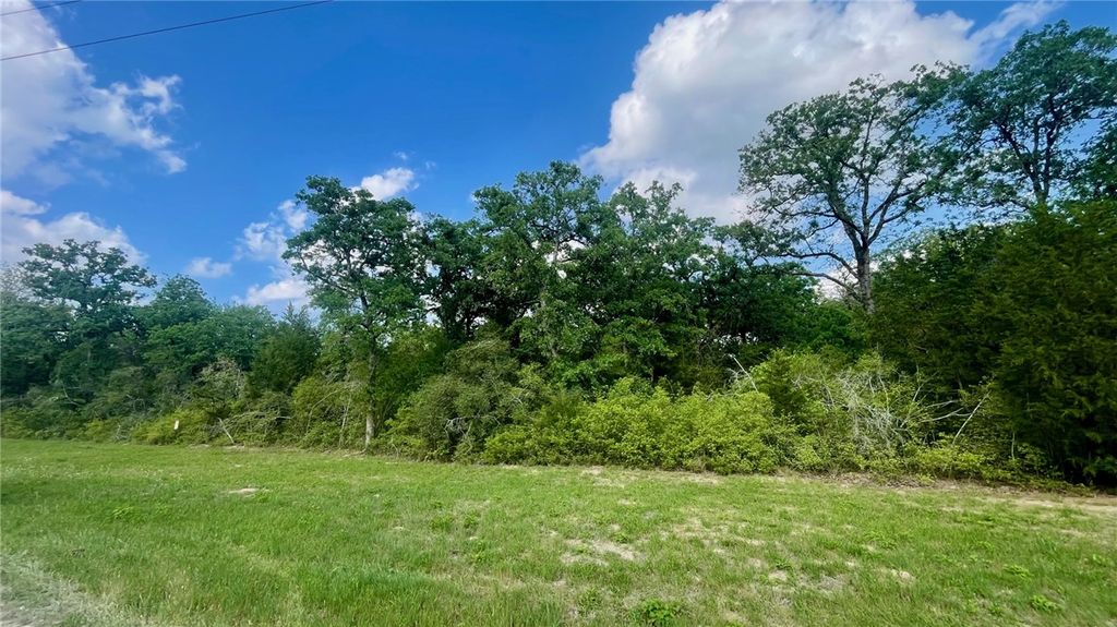 TBD Lot 18 Sawmill RD (+/-5.51 acres), Franklin, TX 77837 — photo 4