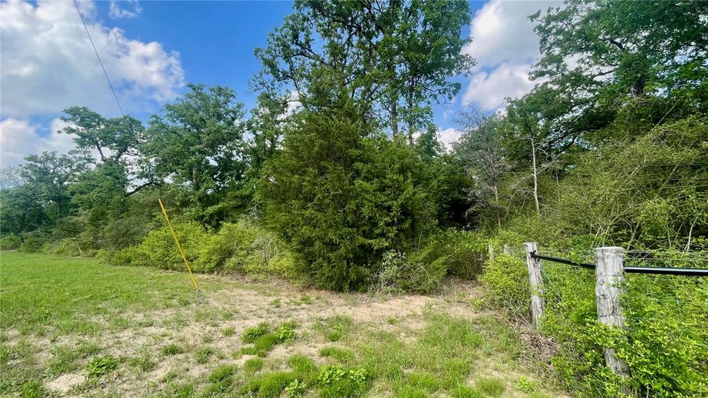 TBD Lot 18 Sawmill RD (+/-5.51 acres), Franklin, TX 77837 — photo 5