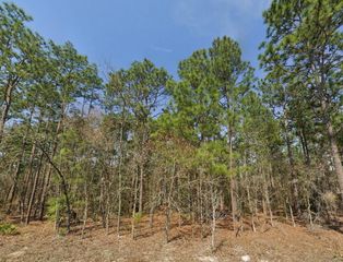 TBD (Lot 12) SW 128TH TERRACE ROAD, Ocala, FL 34481