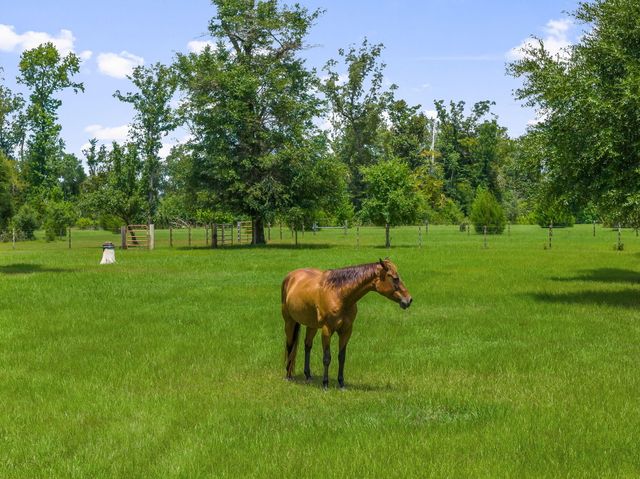 13935 Blue Springs Road, Youngstown, FL 32466