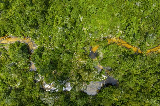 13935 Blue Springs Road, Youngstown, FL 32466