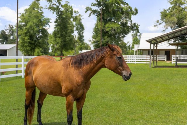 13935 Blue Springs Road, Youngstown, FL 32466