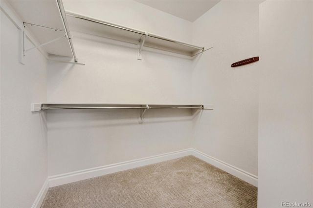 10262 Greentrail Circle, Lone Tree, CO 80124