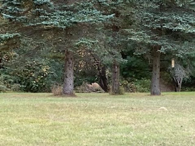 14255 Myers Lake Avenue, Cedar Springs, MI 49319